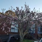 Resized_20190823_170731