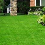 pennsylvania-lawn-care11