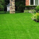 pennsylvania-lawn-care11_769x288