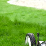 Screenshot 2024-03-09 103924